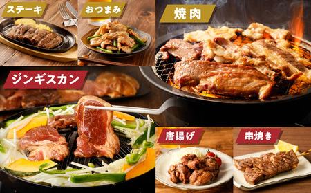 【 全5回 定期便 】 焼肉 6種セット ＋ ジンギスカン 4種 セット T025-T01 肉