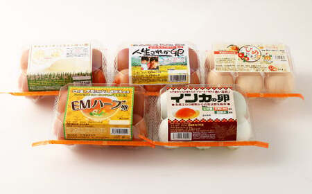 はじめての食べ比べ セット 6個 × 5種類 （内割れ保証5個､各種1個ずつ） たまご 卵 玉子 タマゴ 国産 愛媛県産 【えひめの町（超）推し！（内子町）】 （476）