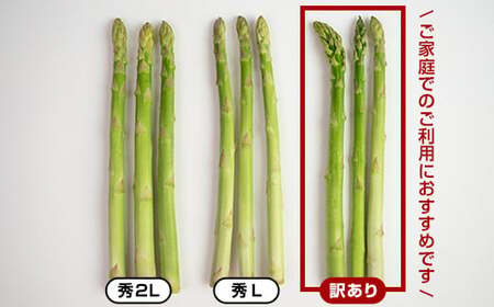 【訳あり】朝採れ新鮮アスパラ 1kg（S～2Lサイズ混合） (2026年3月下旬~6月中旬または2026年7月上旬~9月上旬頃発送)  菜 北海道産 バーベキュー BBQ キャンプ 旬野菜 ワケあり わけあり アスパラガス 栄養満点 冷蔵発送  アスパラ 食品 北海道 今金町 F21W-318