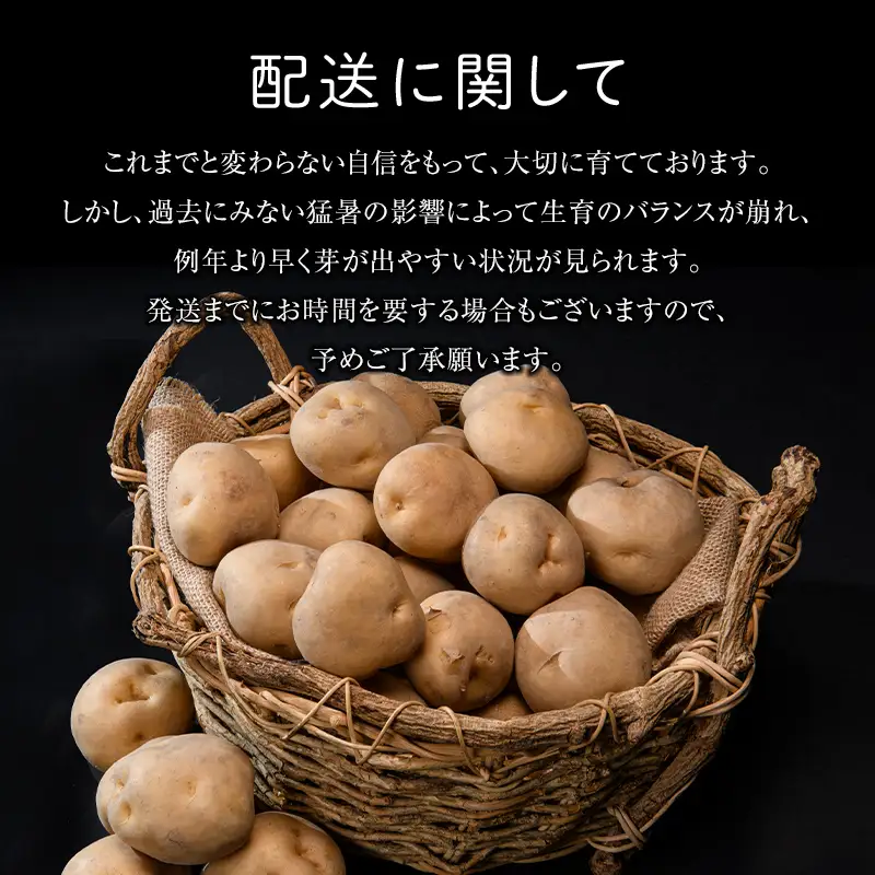 【先行予約】北海道今金町産男爵いも 約10kg 【2026年10月下旬以降順次出荷】北海道産 じゃがいも ジャガイモ だんしゃく 男爵 男爵いも 先行予約 野菜 ほくほく しっとり 常備野菜 野菜 F21W-486