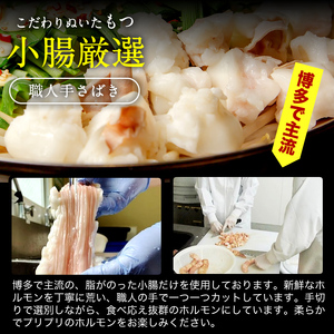 もつ鍋 1.0kg (250g×4パック）[001-d005]