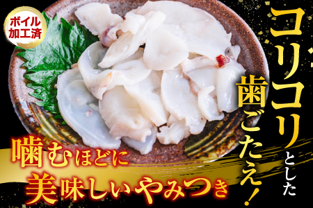 【北海道根室産】ボイル水たこ足1本(1kg) A-20007