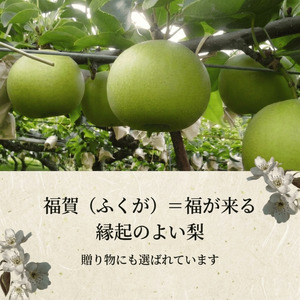 【先行予約】福賀の二十世紀梨 約5kg（12～18玉） 阿武町産 高糖度＆安心栽培 昼夜の寒暖差が生むシャキシャキ食感 数量限定 なし 梨 ナシ フルーツ 果物 旬 《お届け：2026年8月下旬～9月中旬頃出荷》 山口県 阿武町産 デザート