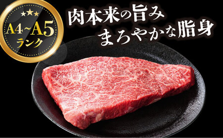 【全12回定期便】A4-A5 長崎和牛モモステーキ　約1.5kg（100g×15p） [DBS140] ステーキ 定期便 国産