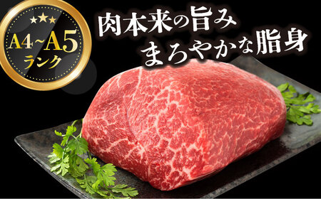 【全2回定期便】【訳あり】A4-A5 長崎和牛モモブロック（ローストビーフ用等）約500g-600g [DBS141] 
