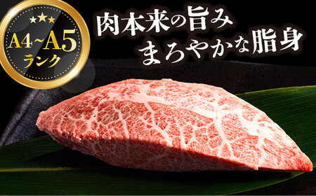 【全6回定期便】 長崎和牛ミスジステーキ　約500g（100g×5） [DBS151] ミスジ