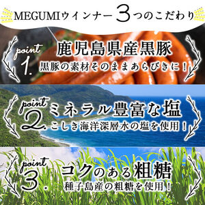 豚の飼養頭数日本一！鹿児島県産黒豚ハムセット1.4kg超！(黒豚手巻ロースハム約700g・黒豚MEGUMIウインナー3種 プレーン・ジンジャー・ガーリック各1P(144g)・黒豚生ハムスライス80g・黒豚炭火焼豚200g) b2-502