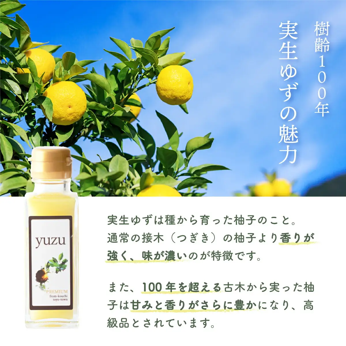 100年ゆず果汁＜100ml×3本セット＞  S152 [S-06] 【株式会社森海家】