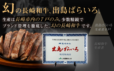 【全6回定期便】長崎和牛出島ばらいろ 特選霜降サーロインステーキ 500g以上（約250g×2枚）[RCI012] 長崎和牛 サーロイン 定期便 長崎和牛 サーロイン 定期便九州 長崎