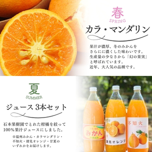 みかん 柑橘 定期便 みかん 4回 果物【tkb508】