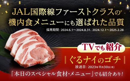 諫美豚 挽き肉 2.1kg（300g×7P）/ 豚肉 ぶたにく ミンチ みんち ひき肉 ひきにく 挽肉 挽き肉 ハンバーグ はんばーぐ / 諫早市 / 株式会社土井農場 [AHAD088]
