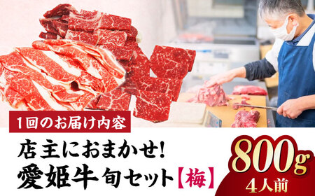 【全3回】 牛肉 定期便 店主におまかせ旬セット【梅】[AGCC055] 牛肉 定期便 牛肉 定期便 牛肉 定期便 