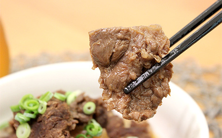 馬スジ 1kg (500g×2) 馬肉 冷凍 九州 熊本県 球磨村 FKP9-618