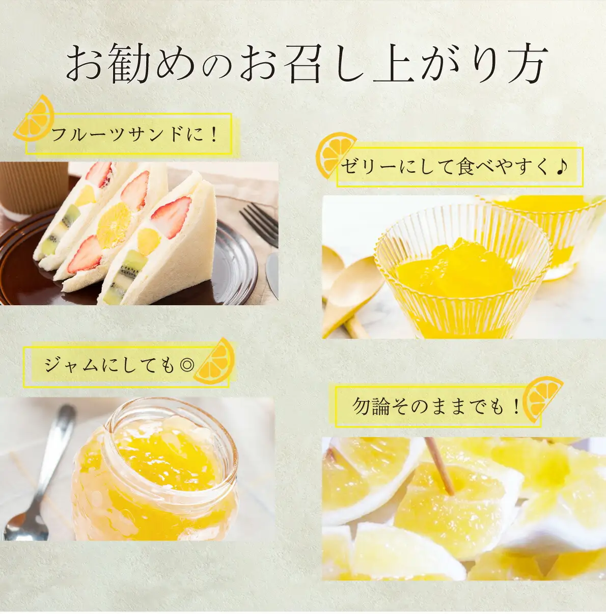 ＜先行予約＞【訳アリ】西内小夏 10kg　