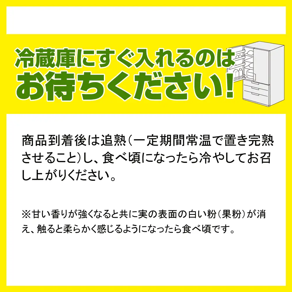 【2026年発送】沖縄県産キーツマンゴー1.5kg