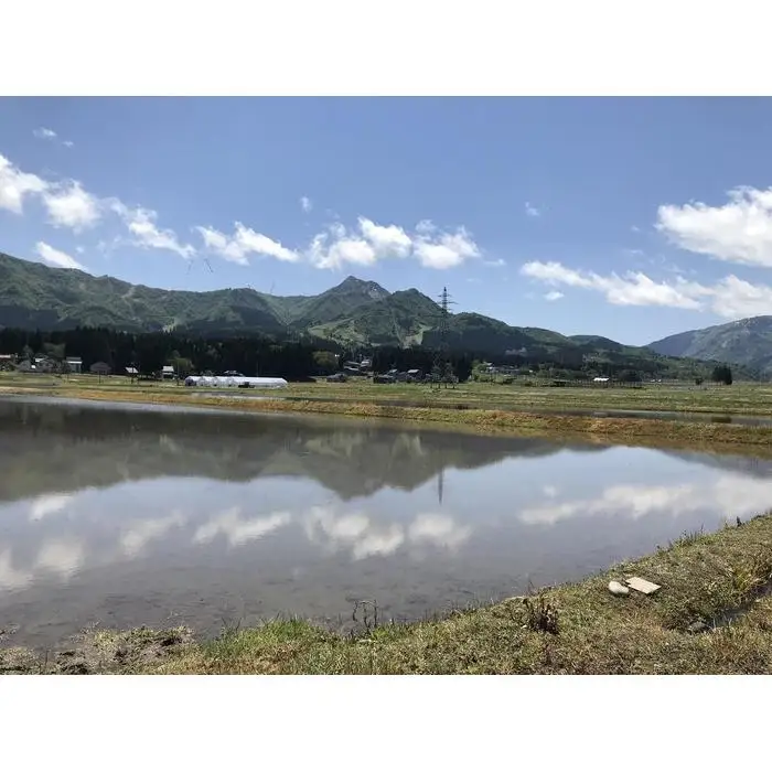 南魚沼塩沢産　従来型コシヒカリ　白米５ｋｇ×６回（定期便）