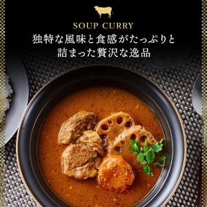 「星空の黒牛」カレー・シチュー・スープカレーセットE 12食　|  スープカレー