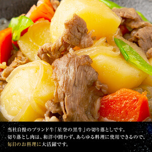 【3か月 定期便】北海道産 星空の黒牛 牛肉切り落とし 約1kg（500g×2）|  牛肉切り落とし