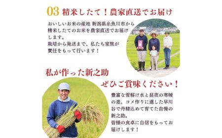 令和7年産【定期便】新之助 5kg×3ヶ月 計15kg 米・食味鑑定士お墨付き 家族みんなで愛情かけて育てた米 新潟県糸魚川産 2025年 しんのすけ 白米 百姓や伝六【米 お米 こめ 食品 人気 おすすめ ギフト 新潟県の新しいブランド米 農家直送 5キロ 精米 3回 3か月 新之助 】