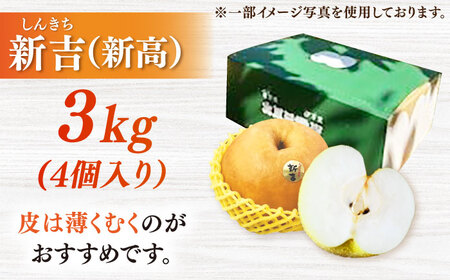 【2026年発送分 先行予約】【化粧箱入り】新吉（新高）4個入（約3kg） / 佐賀県 / 大川三世代 [41AEAB009]