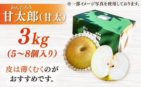 【2026年発送分 先行予約】【化粧箱入り】甘太郎（甘太）5-8個入（約3kg） / 梨 / 佐賀県 / 大川三世代 [41AEAB010]