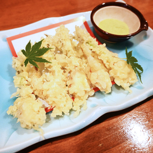 話題の新食材！芽子にんにく 1箱（1袋6個入り×10） 芽も根もまるごと食べられる！（KJ-3）