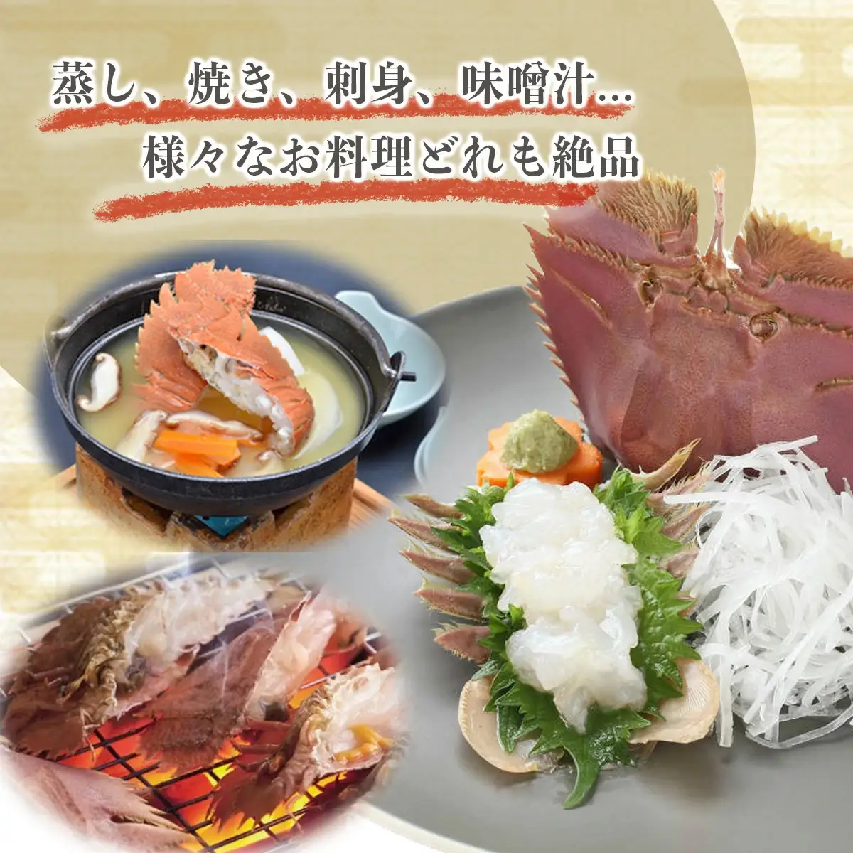 【ふるさと納税】ウチワエビ(小) 1500g(18~20匹前後)  [S245] 【株式会社森海家】