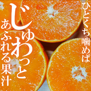 せとか 三豊市産 約5kg