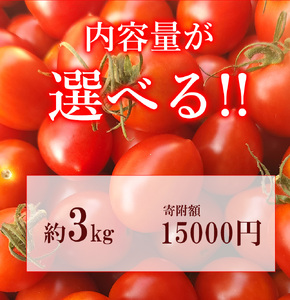 ミニトマト3kg