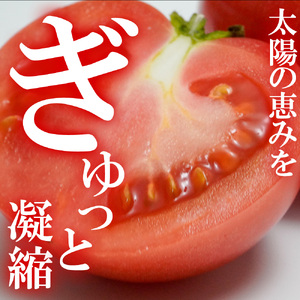 トマトジュース720ml×2本