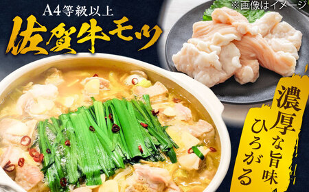 何度食べても飽きない美味しさ！こだわり 佐賀牛100% もつ鍋セット 500g(250g×2) 2~3人前 スープ・ちゃんぽん麺付 ホルモン 小腸 吉野ヶ里町/やきとり紋次郎[FCJ100]
