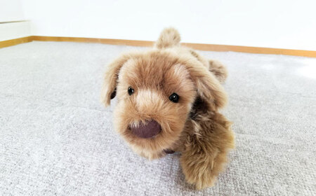 パトランミニ・ブラウン 糸島市 / 科学工房未来 犬 ペット ぬいぐるみ [AYI006] いぬ 動物