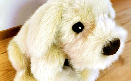 パトランミニ・ナチュラル 糸島市 / 科学工房未来 犬 ペット ぬいぐるみ [AYI007] いぬ 動物