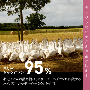 【甲州羽毛ふとん】コインランドリーで洗える超軽量羽毛本掛けふとんシングル（アイボリー）羽毛布団 洗える 布団 寝具