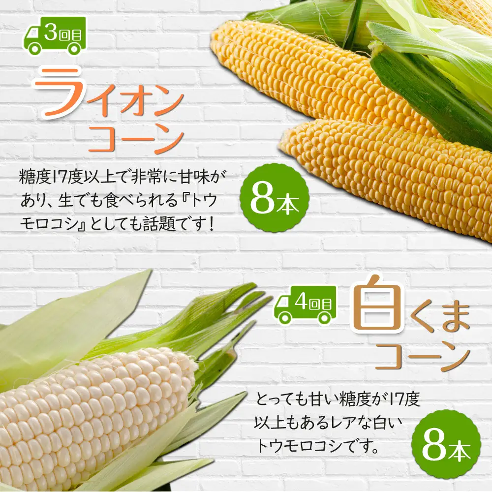 【26年5月発送開始】かに太郎 定期便Mセット（アスパラ、赤肉メロン、ライオンコーン、白くまコーン、男爵、無添加鮭イクラ醤油漬け）全6回 | 定期便 北海道_03826