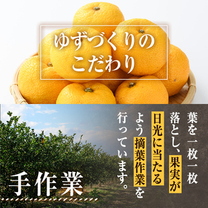 ＜先行予約受付中！2026年11月上旬以降順次発送予定＞柚子(約1.8kg)かんきつ 柑橘 期間限定 おもとの丘【111300601】【未来農林】