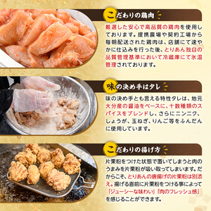 ＜定期便・全6回(連続)＞＜からあげグランプリ最高金賞＞宇佐 とりあんのからあげ3点セット(総量6.6kg・合計1.1kg×6回)から揚げ からあげ 簡単 冷凍 惣菜 お弁当 おかず おつまみ セット【203500200】【BOROYA】