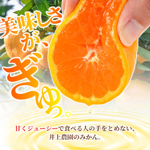 ＜先行予約受付中！12月上旬より順次発送予定＞数量限定 大分県宇佐市産 温州みかん(約10kg)みかん ミカン 蜜柑 柑橘 フルーツ 果物 くだもの 果実 国産【103620400】【井上農園】