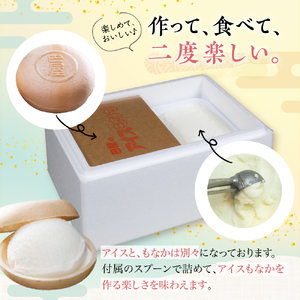 アイスもなか30個セット　お取り寄せ おやつ デザート スイーツ お土産 巴屋  ku067-001-r
