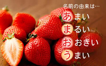 【特別栽培】うるう農園 冷凍あまおう 1kg あまおう イチゴ いちご 苺 フルーツ 果物