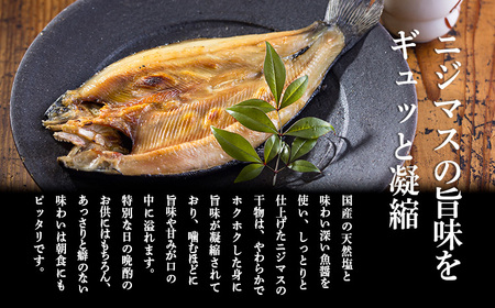 国産の天然塩と魚醤で味付けたニジマスの干物　3尾 TF0791-P00045