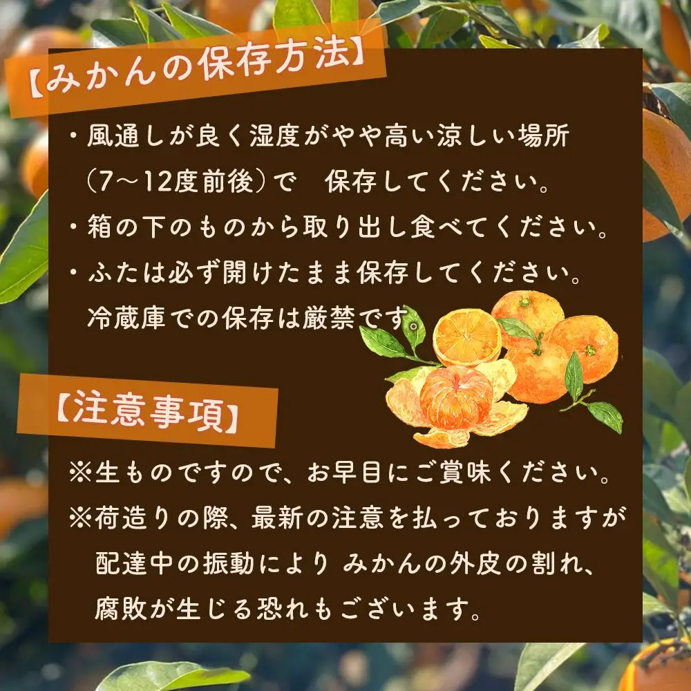 有田みかん 家庭用  3kg　濃厚完熟　お試し 味重視 (和歌山県産)