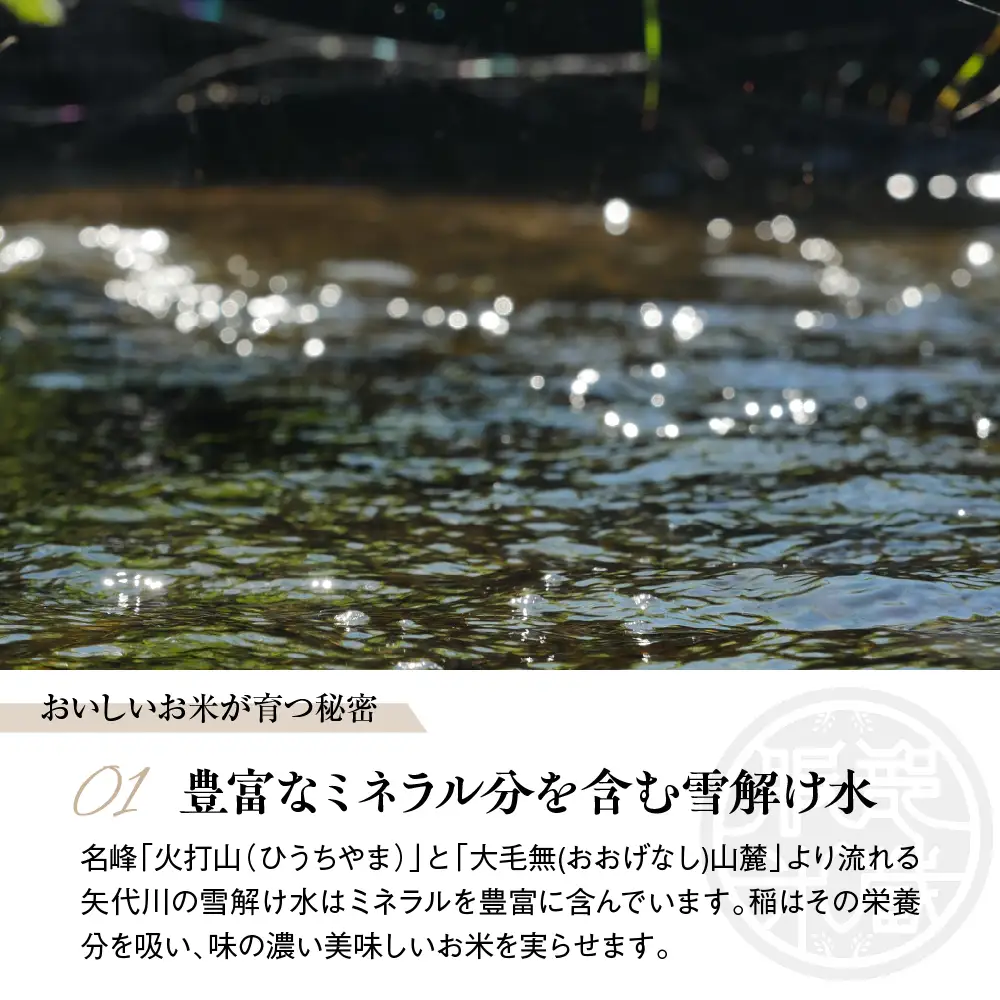 先行予約【令和8年産】【定期便】服部米蔵の妙高矢代産コシヒカリ 10kg×3回 計30kg
