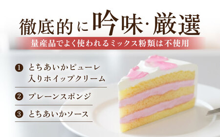 【訳あり】ドルチェケーキ とちあいかショート ケーキ 計12個（4個×3箱）【ファミール製菓株式会社】 [AKCI022]