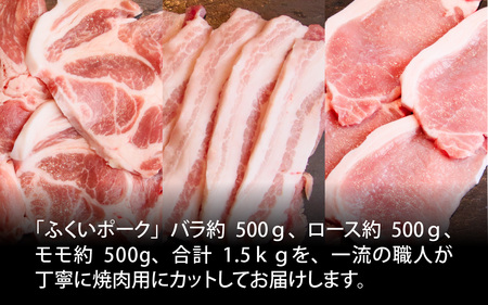 ふくいポーク３種　焼肉・BBQ用（1種 約250g×2パック)　合計約1.5㎏ [B-066039] 豚肉 ふくいポーク ブランド豚 冷凍 送料無料 バラ ロース モモ 焼肉 バーベキュー BBQ 小分け 250g 500g キャンプ アウトドア