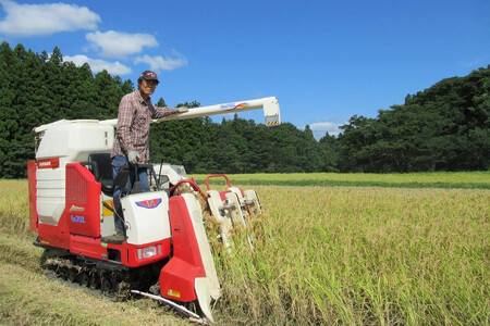 標高200mで育てた棚田米|令和7年産・新潟県上越市中郷産・従来種コシヒカリ精米5kg