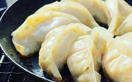 餃子 越後まるきよ餃子 3袋 セット ぎょうざ ギョウザ ごはんのお供