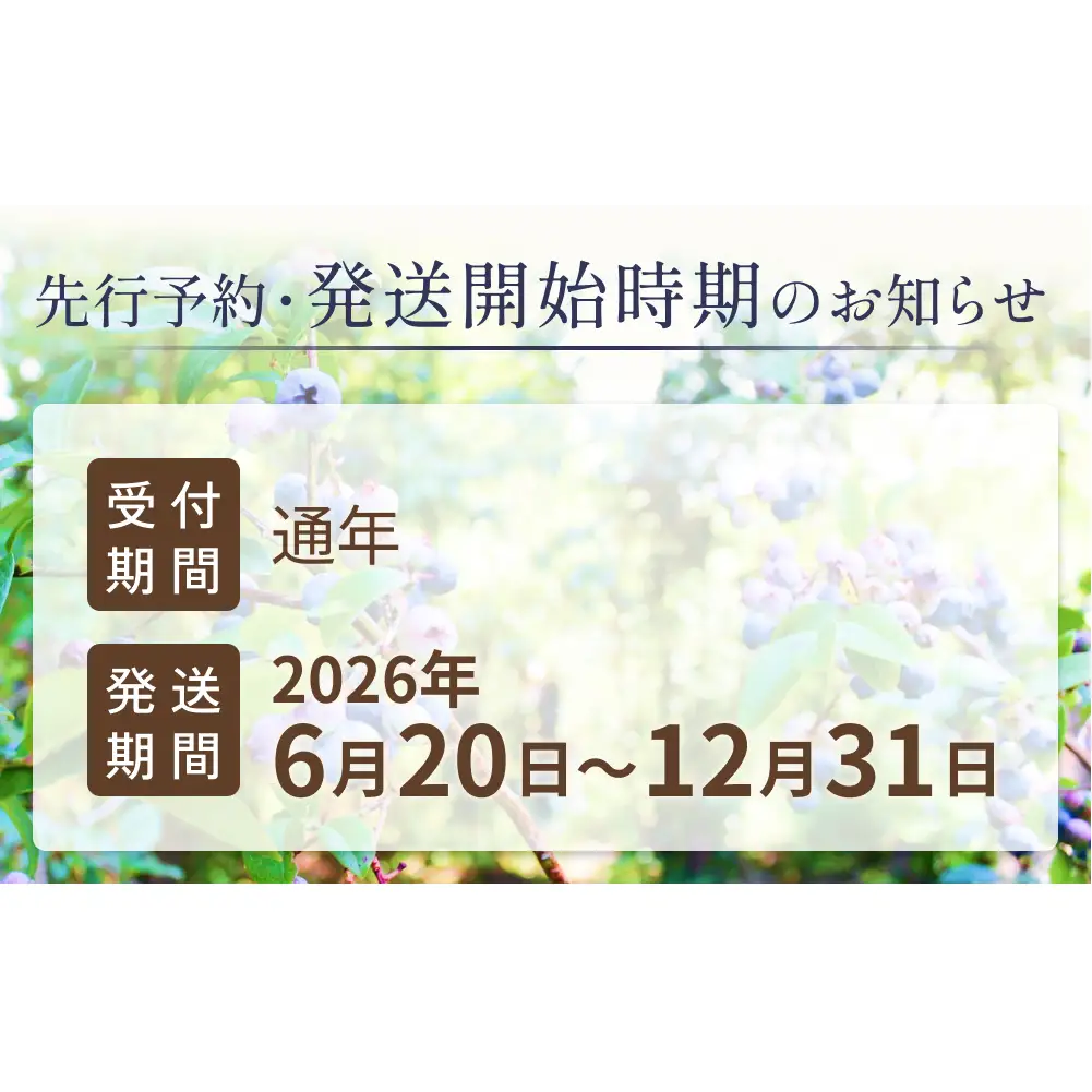 ＜ 先行予約 ＞ ブルーベリージャム 280g 無添加 摘みたて 手作り 果実 100% アントシアニントッピング