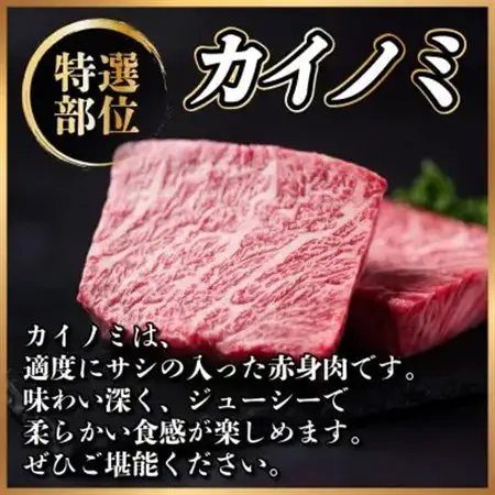 【毎月定期便】飛騨牛ステーキ定期便　計約1.8kg【冷蔵便】全3回_肉 ステーキ 牛肉 ビーフステーキ  定期便 定期便  _【配送不可地域：離島】【4055331】