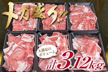 豚肉 豚ウデ 豚モモ 切り落とし セット 計3.12kg 国産 ポーク 食品 おかず 切落し スライス肉 万能食材 大容量 焼肉 生姜焼き カレー 肉じゃが 炒め物 お弁当 おつまみ 晩ご飯 うで もも 人気 冷凍 お土産 おすそ分け お取り寄せ 宮崎県 日南市 送料無料_C144-25